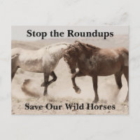 Sauvez nos chevaux sauvages