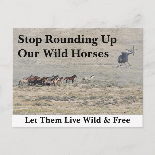 Carte Postale Sauvez nos chevaux sauvages (Devant)