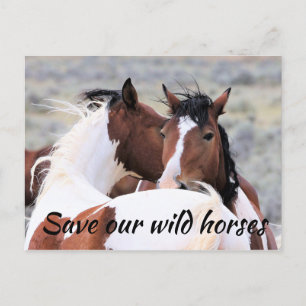 Carte Postale Sauvez nos chevaux sauvages