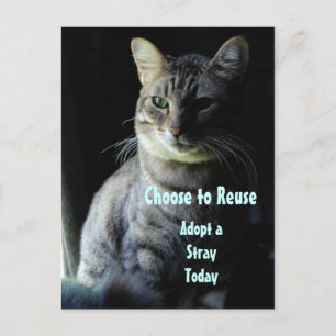 Carte Postale Sauvez Une Vie ! Adoptez Un Abri !