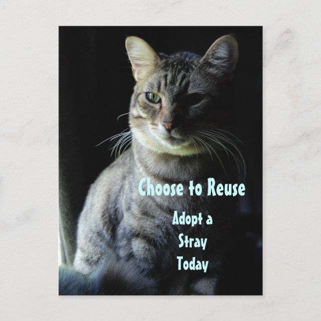 Carte Postale Sauvez Une Vie ! Adoptez Un Abri ! (Devant)