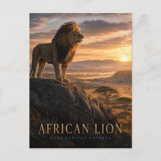 Carte Postale Savane de lions d'Afrique ANIMALS (Devant)