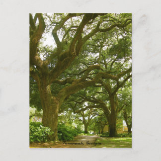 Carte postale Savannah Georgia