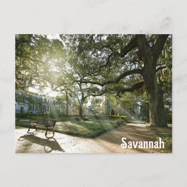 Carte Postale Savannah Georgia Southern Live Oak Tree Park (Devant)