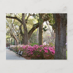 Carte Postale Savannah Géorgie au printemps Forsyth Park Azaleas