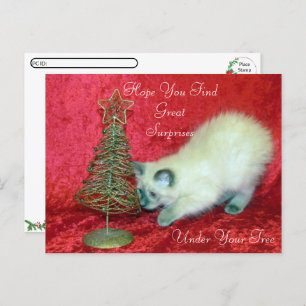 Carte Postale Savannah's Christmas Surprise - Chat balinais