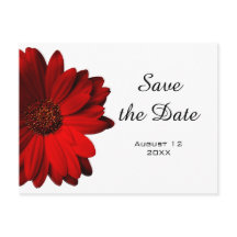 Carte postale "Save the Date" au Gérbera rouge