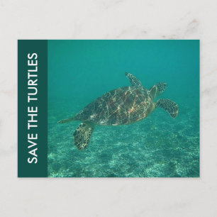 Carte Postale save the turtles