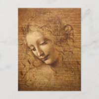 Scapigliata de Léonard de Vinci, Chef d'une femme