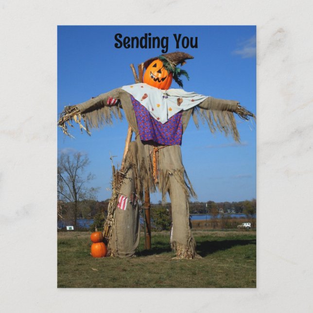 Carte postale Scarecrow Holiday (Devant)