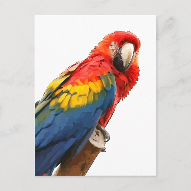 Carte postale Scarlet Macaw (Devant)
