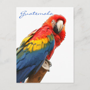Carte postale Scarlet Macaw Guatemala