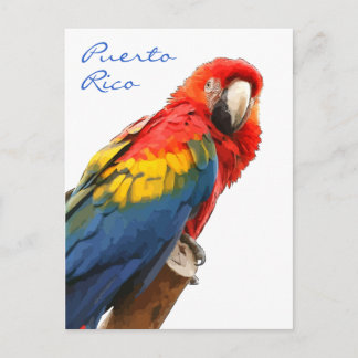 Carte postale Scarlet Macaw Porto Rico