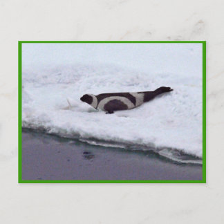 Carte Postale Sceau de ruban