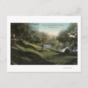 Carte Postale Scène à Busch Sunken Gardens