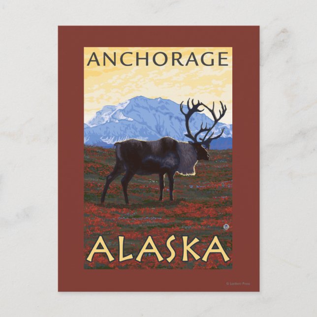 Carte Postale Scène Caribou - Anchorage, Alaska (Devant)