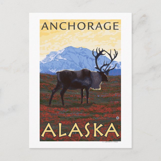 Carte Postale Scène Caribou - Anchorage, Alaska (Devant)