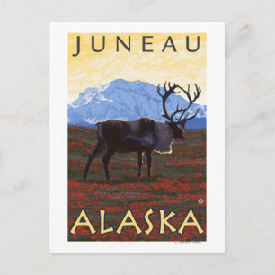 Carte Postale Scène Caribou - Juneau, Alaska
