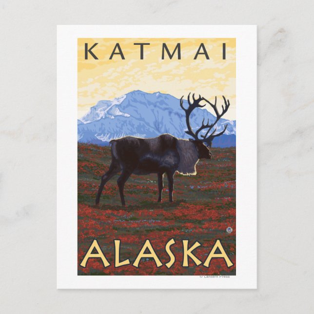 Carte Postale Scène Caribou - Katmai, Alaska (Devant)
