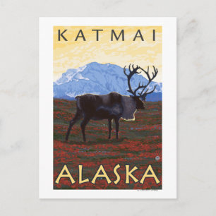 Carte Postale Scène Caribou - Katmai, Alaska