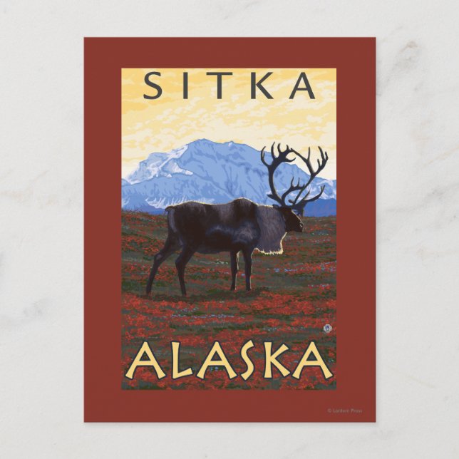 Carte Postale Scène Caribou - Sitka, Alaska (Devant)