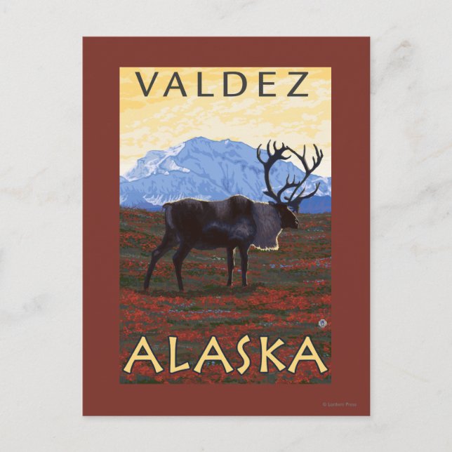 Carte Postale Scène Caribou - Valdez, Alaska (Devant)