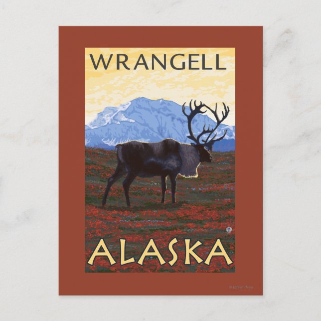Carte Postale Scène Caribou - Wrangell, Alaska (Devant)