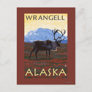 Carte Postale Scène Caribou - Wrangell, Alaska
