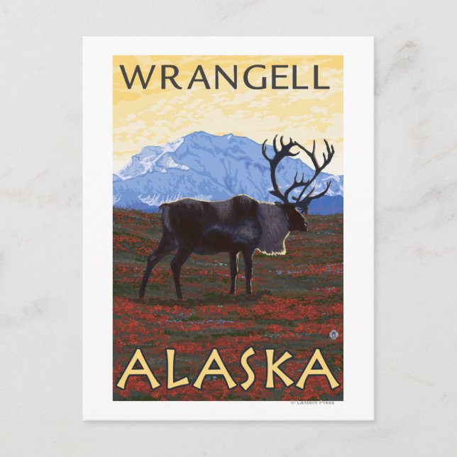 Carte Postale Scène Caribou - Wrangell, Alaska (Devant)