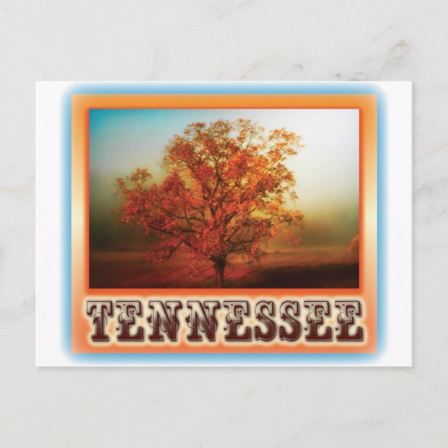 Carte Postale Scène d'arbre d'automne du Tennessee (Devant)