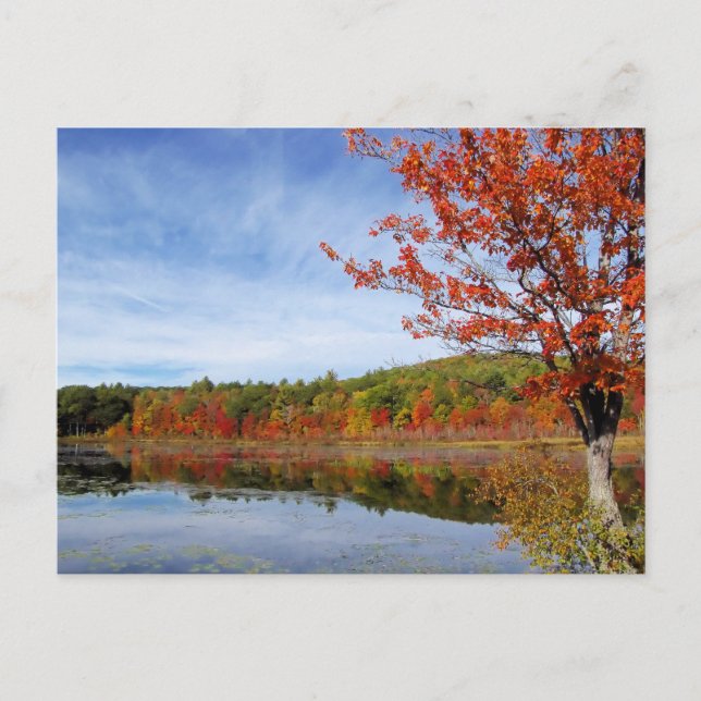 Carte Postale Scène d'automne de Perkins Pond (Devant)