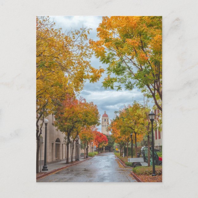 Carte Postale Scène d'automne sur le campus de l'Université Stan (Devant)