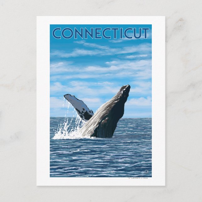 Carte Postale Scène de baleines à bosse du Connecticut (Devant)