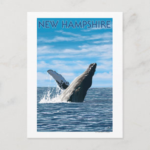 Carte Postale Scène de baleines à bosse du New Hampshire
