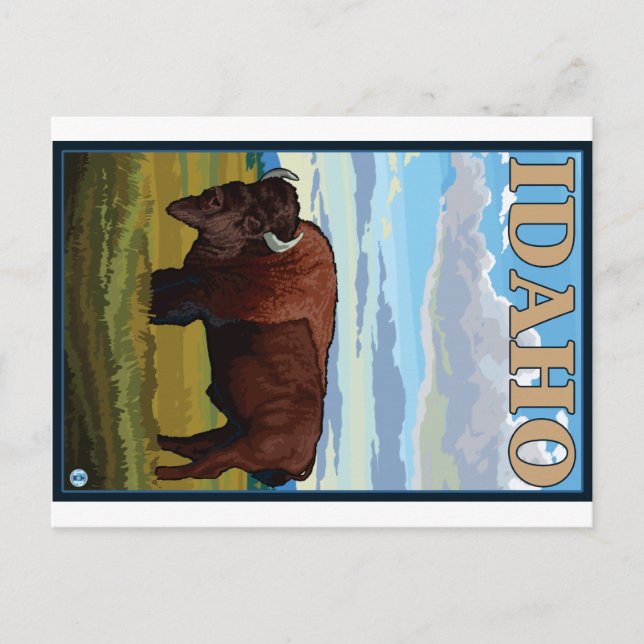 Carte Postale Scène De Bison - Idaho (Devant)