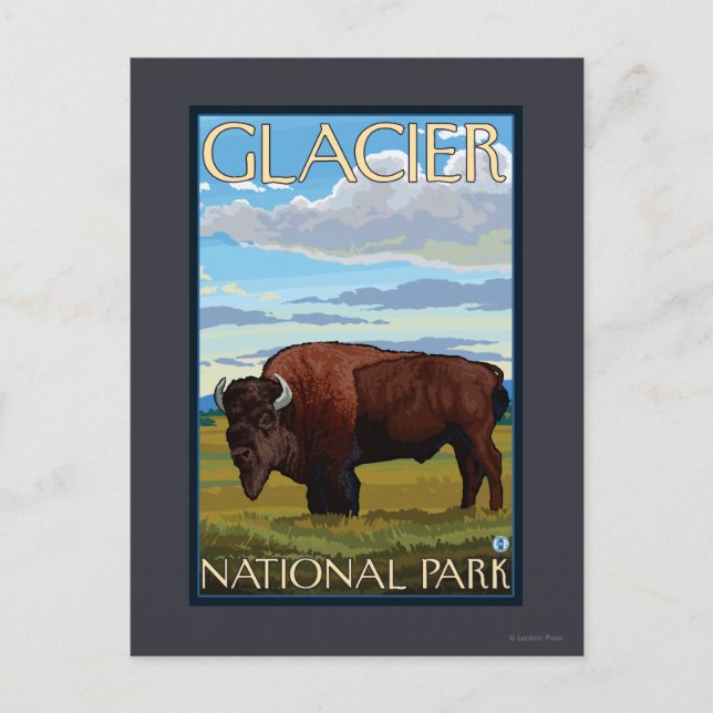 Carte Postale Scène de bison - parc national de glacier, la TA (Devant)