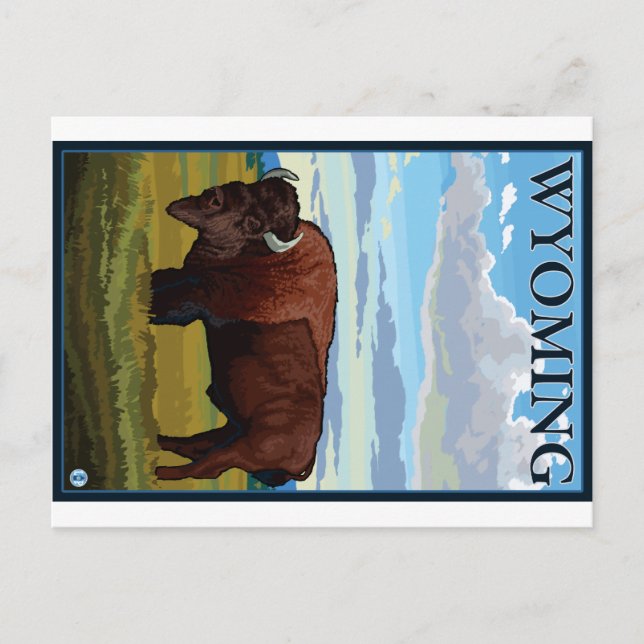 Carte Postale Scène de bison - Wyoming (Devant)