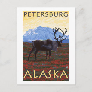 Carte Postale Scène de caribou - Petersburg, Alaska