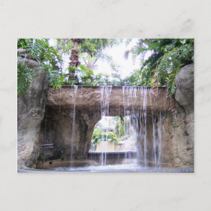 Carte Postale Scène de cascade tropicale à West Palm Beach
