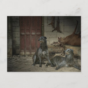 Carte Postale Scène de chasse : le butin (partie. 3)