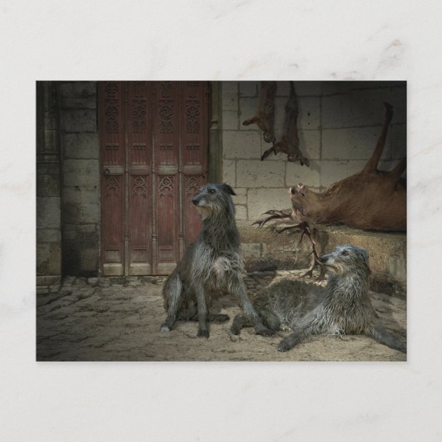Carte Postale Scène de chasse : le butin (partie. 3) (Devant)