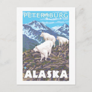 Carte Postale Scène de chèvres de montagne - Petersburg, Alaska