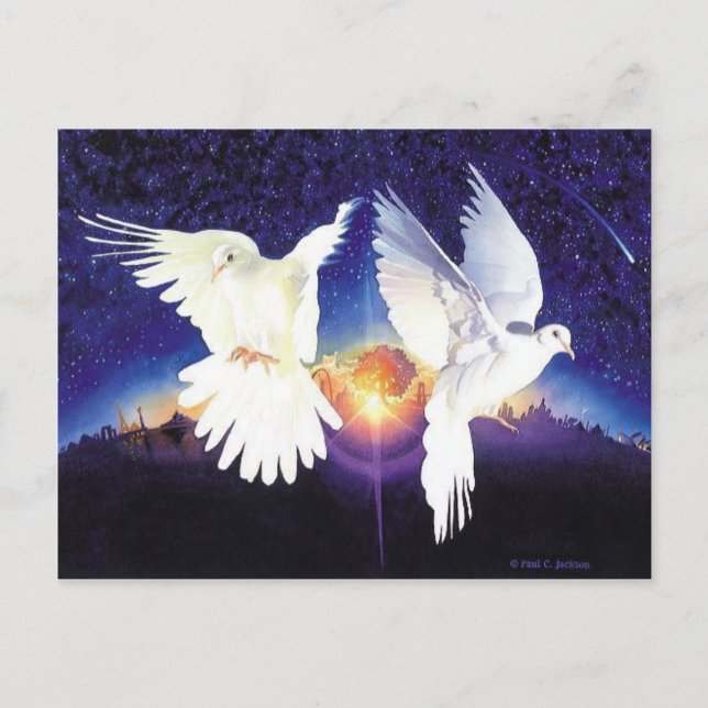 Carte Postale Scène de colombe "Pax in Terra" (Devant)