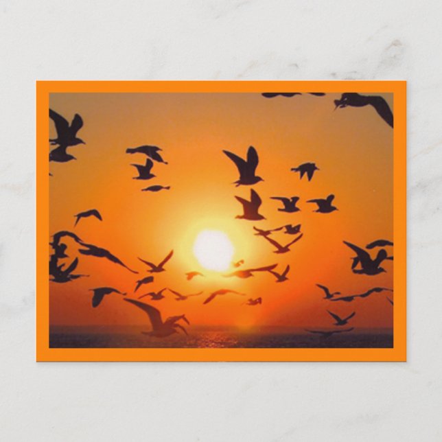Carte Postale Scène de coucher de soleil bordure orange (Devant)