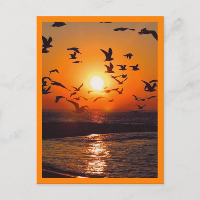 Carte Postale Scène de coucher de soleil bordure orange (Devant)