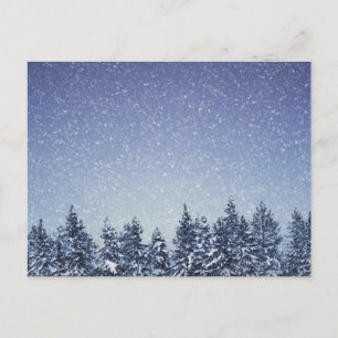 Carte Postale Scène de forêt d'hiver de neige gelée