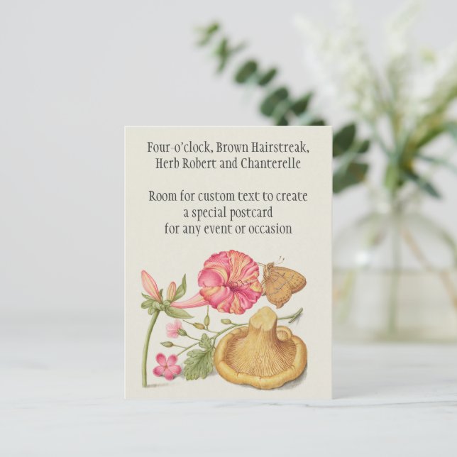 Carte Postale Scène de jardin avec fleurs, papillon et champigno (Debout devant)
