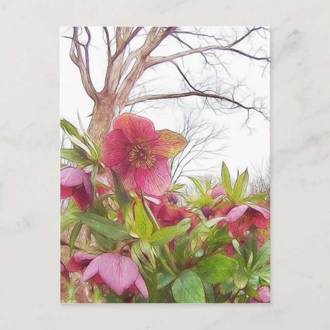 Carte Postale Scène De Jardin - Hellebores Et Vieux Chêne (Devant)