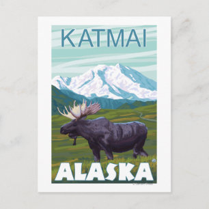 Carte Postale Scène de l'orignal - Katmai, Alaska