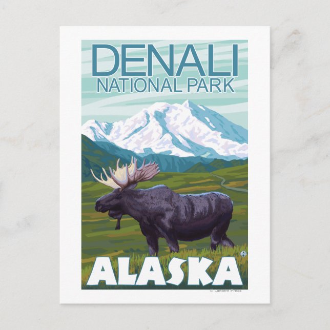 Carte Postale Scène de l'orignal - Parc national Denali, Alaska (Devant)